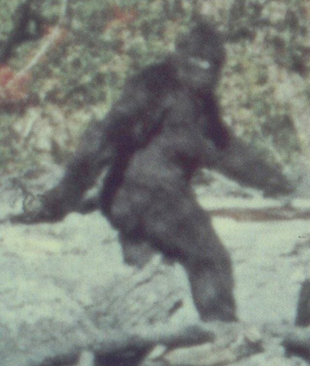 Squatchology.Com